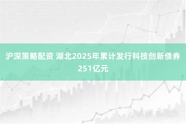 沪深策略配资 湖北2025年累计发行科技创新债券251亿元